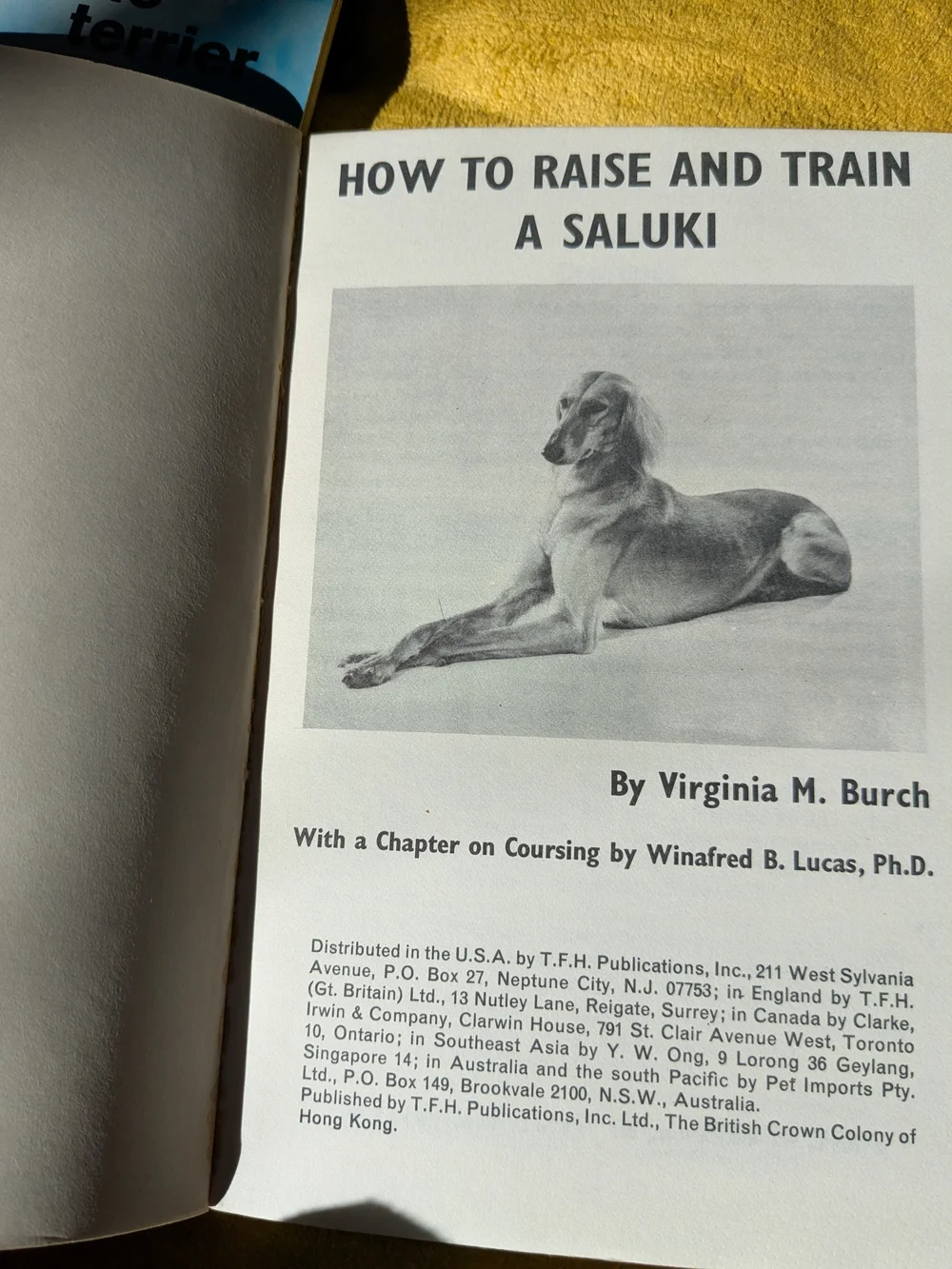 Vintage 'How to Raise and Train' Dog Breed Book Set
